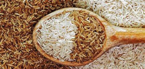 Riz blanc et riz complet