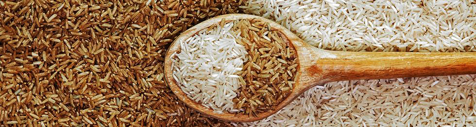 Riz blanc et riz complet. En quoi sont-ils différents ?