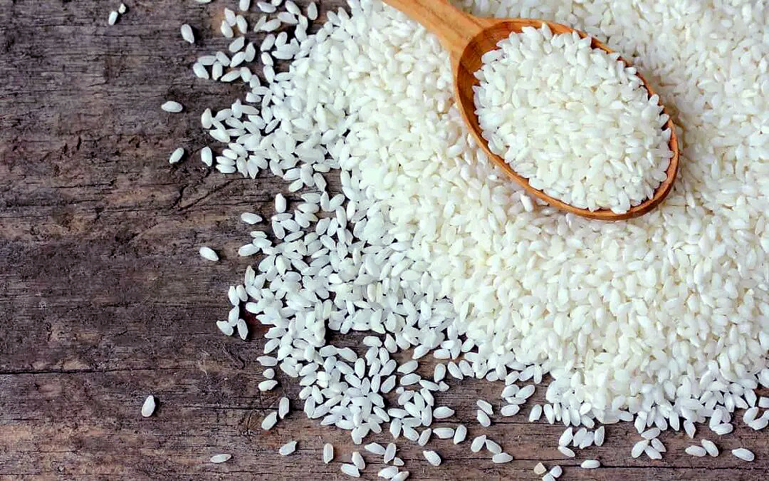 الأرز الطويل أو المستدير: أيهما تختار؟ المقارنة والنصائح