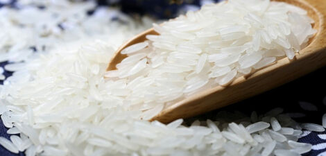 riz valeur nutritionnelle