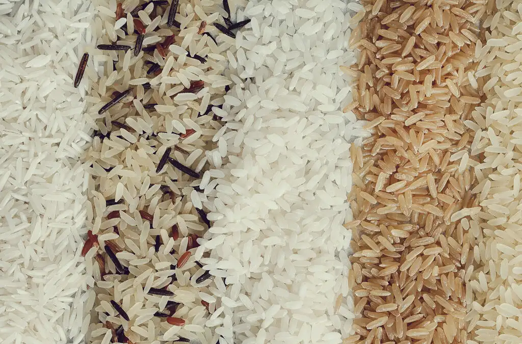riz calories : 4 types de riz