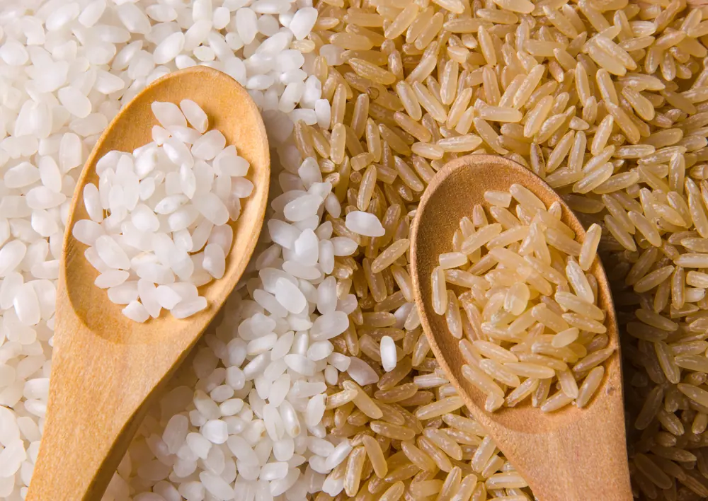 بروتينات الأرز