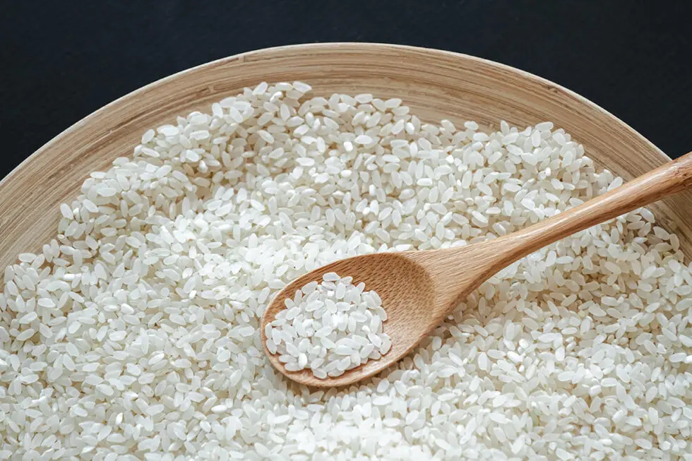 Le riz: Bienfaits, recettes et astuces