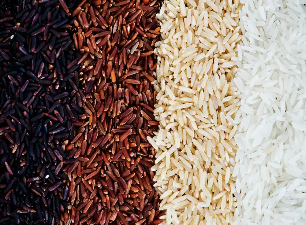 السعرات الحرارية للأرز