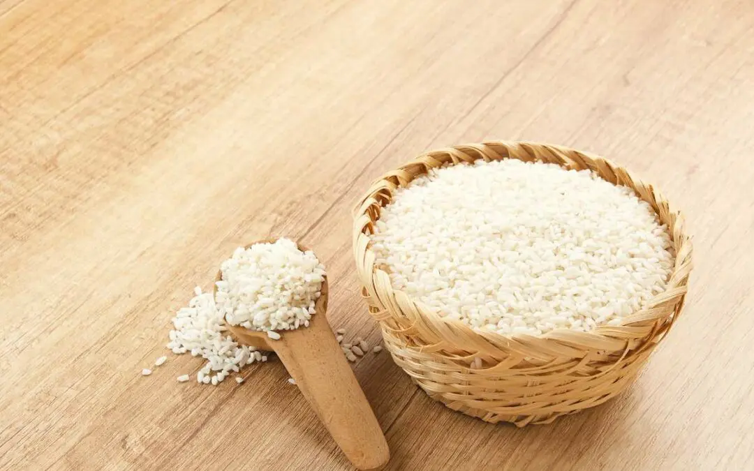 Riz complet : ses atouts nutrition et santé