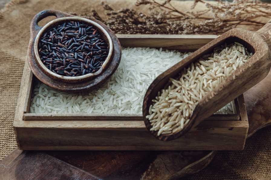riz blan, riz noir et sauvage, riz complet pour un régime hypocalorique