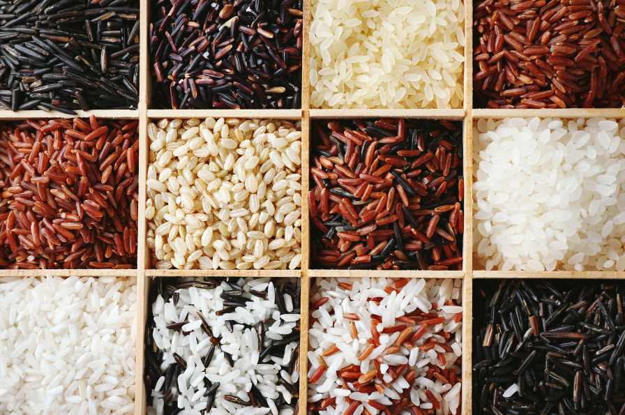 12 Types de riz pour un régime sans gluten