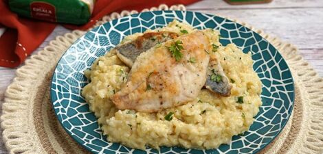 Risotto al pesce persico