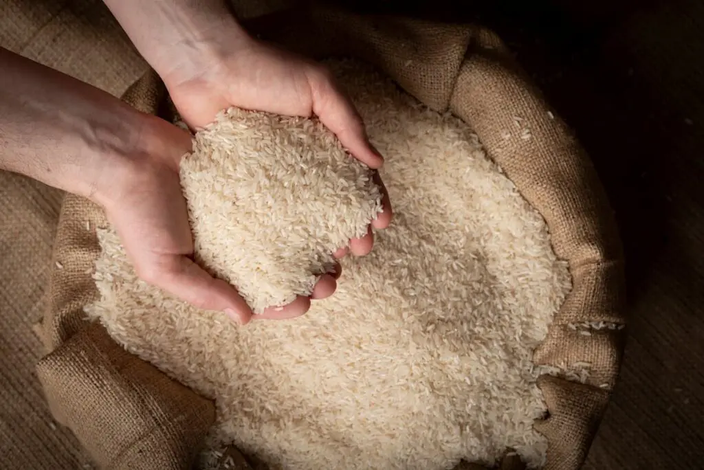 les riz expire ou pas des grains de riz dans un grand sac