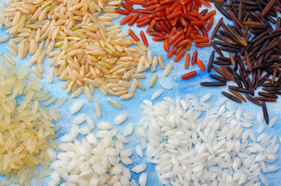 منتجات وحلول مغذيات الأرز