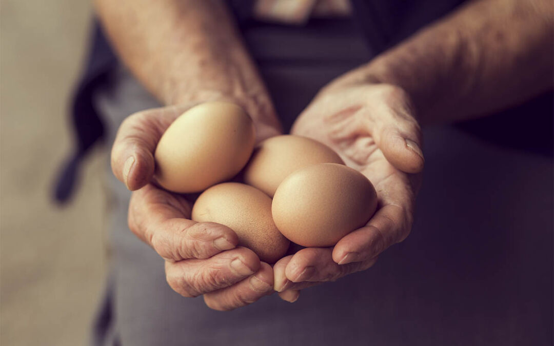 فوائد طهي البيض في الميكروويف