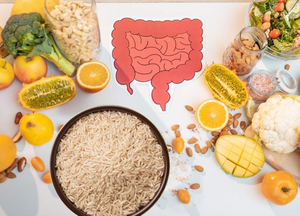 Aliments riches en fibres (riz brun, fruits, légumes) pour améliorer la digestion, avec schéma du système digestif.