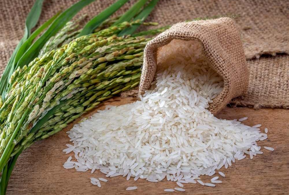 ما هي القيم الغذائية للأرز الأبيض؟